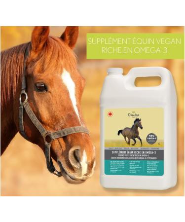 Ferme Olim ga Camelina Oil for Horses 4L Rich in Polyunsaturated Omega-3 Vitamin E Pure and Cold Pressed. - Buy Online on GoSupps.com