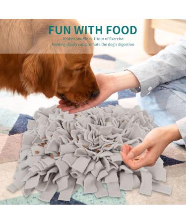 Sniffing Carpet Training Mat for Dogs & Cats - Ieuumler 45x45cm Gray-2 | Ideal for Smell Training & Interactive Play - Buy Online on GoSupps.com