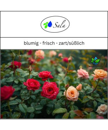 Sala Rosewater BIO 1 L 1000 ml glass bottle - Buy Online on GoSupps.com