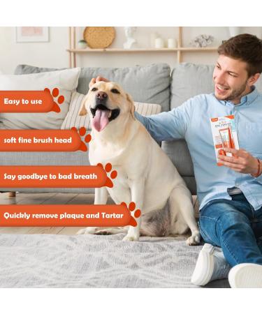 Dog toothpaste and Toothbrush Cat Toothbrushs Finger Toothbrushs 3pcs Pet Dental Care Set with Beef Flavor Dog Teeth Cleaning Dog Tartar Remover Fresh Breath Reduce Plaque - Buy Online on GoSupps.com