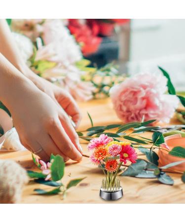 12-Piece Flower Frog Holder Set for Floral Arrangement and Plant Decoration - Buy Online on GoSupps.com