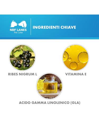 NBF Lanes Ribes Pet Mangime Complementare per Cani E Gatti 30 Perle - Buy Online on GoSupps.com