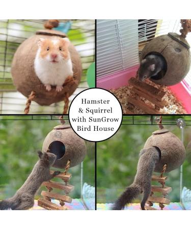 SunGrow Coconut Bird House with Ladder - Mini Avian Condo with Hanging Loop - Buy Online on GoSupps.com