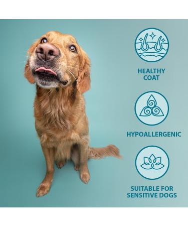 Burns Pet Adult & Senior Wet Dog Food - Hearty Lamb, Carrots & Organic Brown Rice (6 x 395g) - Buy Online on GoSupps.com