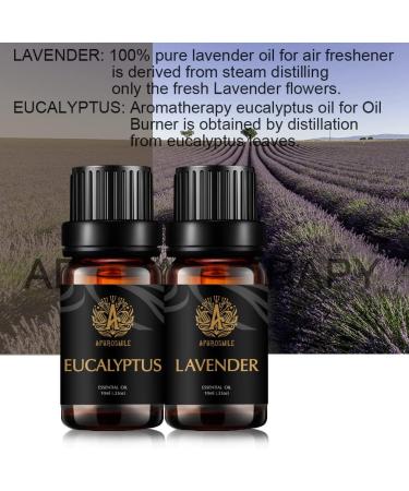 Aromatherapy Lavender Essential Oils Set 100% Pure Eucalyptus Scent Essential Oils Set 2X10ml Therapeutic Grade Eucalyptus Aromatherapy Essential Oils Lavender Fragrance Kit for Diffuser Humidifier - Buy Online on GoSupps.com
