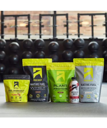 Ascent Native Fuel Casein Protein Powder - Chocolate 2 Pounds - 25g Micellar Casein - Soy & Gluten-Free - No Added Sugar - 4.9g BCAA - 2.2g Leucine - Zero Artificial Ingredients - Buy Online on GoSupps.com