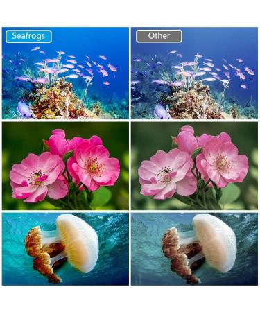 Seafrogs 328FT RGB Diving Video Light for Sony Olympus Nikon Canon Fujifilm Cameras (SF-L02) - Buy Online on GoSupps.com