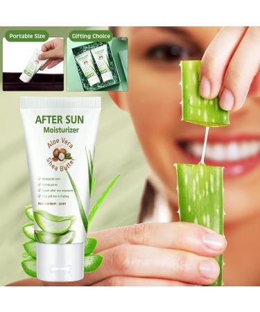 Dansib 12 Pcs After Sun Lotion Mini Aloe Vera Lotion Bulk Travel 1 oz Travel Size Aloe Vera Skin Moisturizer Organic Mini Sunscreen Bulk Party Favor Moisturizing for Face and Body - Buy Online on GoSupps.com