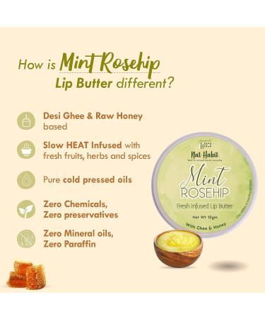 Mint Rosehip Lip Balm - Fresh Infused Lip Butter with Desi Ghee & Raw Honey for Lip Pigmentation Repair & Dark Chapped Lips - 10g | Buy Online - Buy Online on GoSupps.com