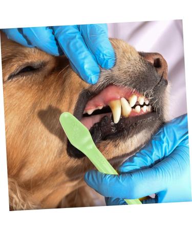 BESPORTBLE 1 Set Pet Toothbrush Dog Toothbrushes Dog Toothbrush and Toothpaste 360 Dog Toothbrush Tools Pp - Buy Online on GoSupps.com