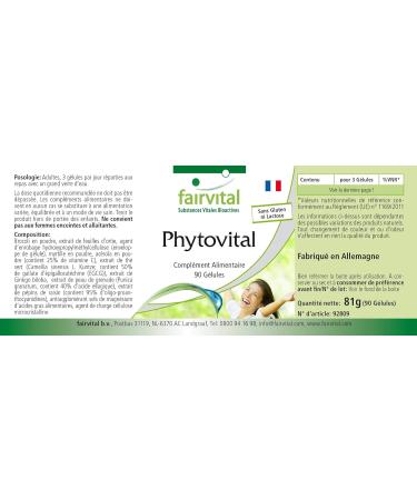 Fairvital | PhytoVital VEGAN - Highly dosed - 90 capsules - quality plant extract - natural multivitamin - Buy Online on GoSupps.com
