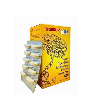 TIGERUS 300mg Organic Tiger Milk Mushroom Sclerotia 60 s Natural Immune Booster, Supports Respiratory Health, 100% Organic & Pure, Made in Malaysia, 60 Veggie Capsules for Daily Wellness