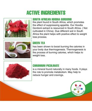 Appetite Suppressant 60 Capsules with S. African Hoodia and Green Tea Extract - Boost Energy and Metabolism - Made in USA - Buy Online on GoSupps.com