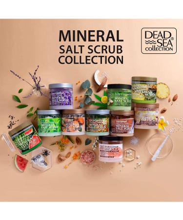Dead Sea Collection Almond Vanilla Salt Body Scrub 23.28 OZ | Pure Oils & Minerals for Exquisite Skin Care - Buy Online on GoSupps.com