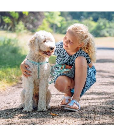 Nobby Soft Grip Leash - Turquoise 200 cm x 25 mm Durable & Comfortable | International Shipping - Buy Online on GoSupps.com