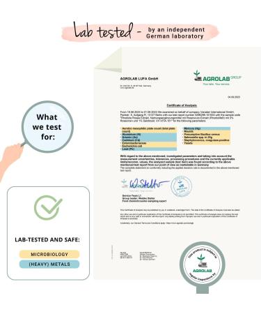 Premium Rhodiola Rosea Vegavero 120 Capsules | 3% Rosavins & 1% Salidroside | Vegan Adaptogenic Supplement - Buy Online on GoSupps.com