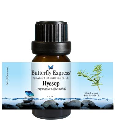 Hyssop Essential Oil 10ml - 100% Pure - by Butterfly Express