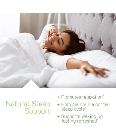 Irwin Naturals Power to Sleep PM - 60 Liquid Soft-Gels, Pack of 2 - with 6mg Melatonin, GABA, Ashwagandha, Valerian Root & L-Theanine - 60 Total Servings - Buy Online on GoSupps.com