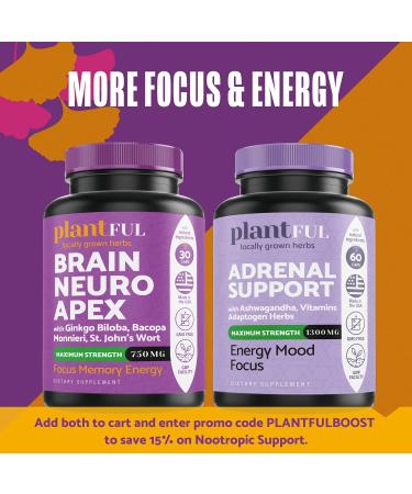 Enhance Focus, Energy & Memory with Nootropic Brain Supplement | Fast-Absorbing Brain Vitamins for Adults | Nootropics Pills with Ginkgo Biloba, St. John's Wort & Bacopa Monnieri - Buy Online on GoSupps.com