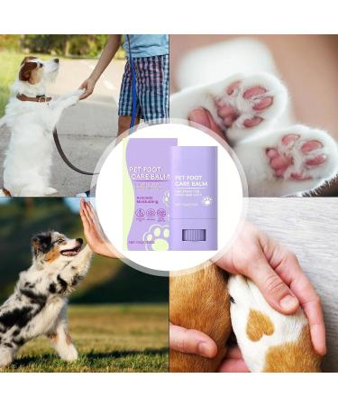 Dog Paw Rescue Balm Dog Paw Balm 15g Cracked Paws Moisturizer Leak Proof Dog Paw Protector for Hot Dressings Dog Paw Protection for Hot Dressings Dog Paw Lotion  - Buy Online on GoSupps.com