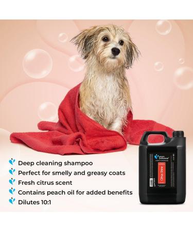 GROOM PROFESSIONAL Citrus Shine Dog Shampoo 4L - Deep Cleansing & Deodorizing Formula with Peach Oil for Greasy Coats - Fresh Citrus Scent - Ideal for Smelly Dogs - Buy Online on GoSupps.com