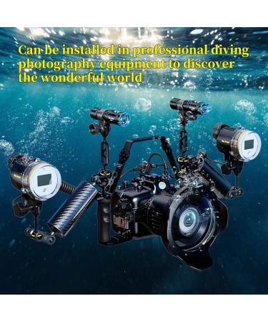 Seafrogs SF-01 Waterproof Scuba Diving Strobe Flash Light with YS Ball Arm Mount - Ideal for Underwater Photography with Sony, Olympus, Nikon, Canon Dive Cameras - Buy Online on GoSupps.com