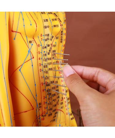 High-Quality Acupuncture Point Body Model - Exquisite Craftsmanship & Practical Accessories for Training - Buy Online on GoSupps.com