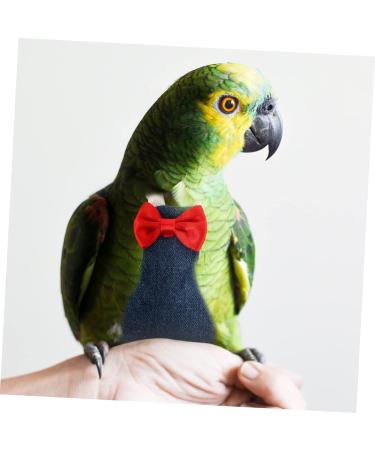 POPETPOP Flying Bird Diapers Budgie Diaper Bird Nappy Bird Clothes Bird Flight Suit Diaper Diapers for Pet Birds Parrots Nappies Parrot Diaper Cockatiel Diaper Cotton Cocktail Set Long Tail 20x11cm As Shown 2 - Buy Online on GoSupps.com