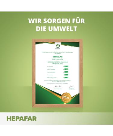 HepaFar Liver Detox Tea - 120 Bags | Green Tea Dandelion & Climbing Root | Detoxify Your Liver Sensilab Hepafar Forte - Buy Online on GoSupps.com
