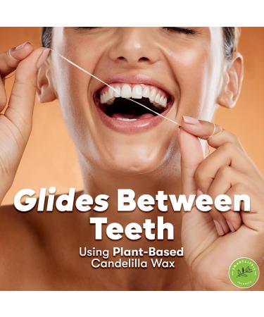 Vegan Silk Dental Floss - Eco-Friendly Bamboo String | Biodegradable Plastic-Free Zero Waste Oral Care | Natural Mint Floss for Adults & Kids - 55yds - Buy Online on GoSupps.com