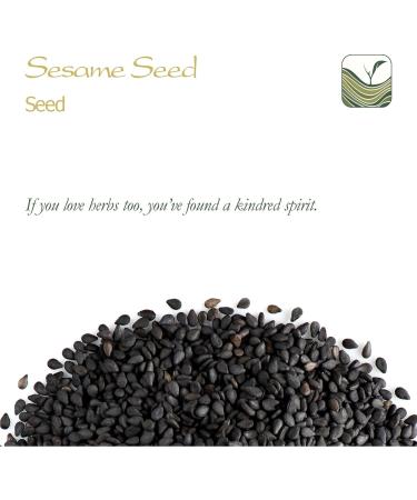 Whole Black Sesame Seed Organic - Brown Sesame Seed Raw Quality - Buy Online on GoSupps.com