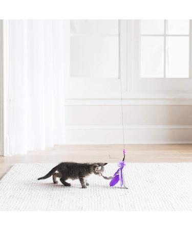 Jackson Galaxy Air Wand with Feather Toy - Available in Various Colors - Buy Online on GoSupps.com