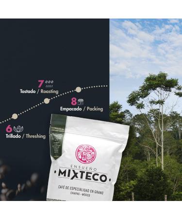 Ensue o Mixteco Specialty Coffee Beans | 100% Arabica Medium Body and Artisanal Production | 460 grams Mexican Origin - Buy Online on GoSupps.com