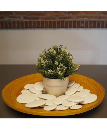 Kalapanta Decoration Stones - Recycled Plastic for Vases Aquariums & Gardens | 95 White Stones ( 5-8 cm) - Eco-Friendly Home Decor - Buy Online on GoSupps.com