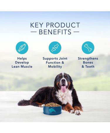 Blue Buffalo Life Protection Formula Large Breed Dog Food - Natural Dry Dog Food for Adult Dogs & Life Protection Formula Senior Dog Food - Natural Dry Dog Food for Senior Dogs - Chicke Beef + Dog Food Small Bag - Buy Online on GoSupps.com