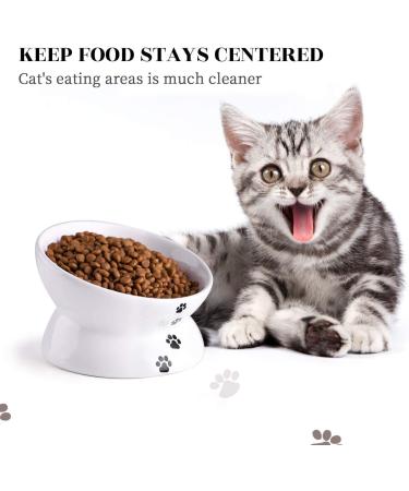 Y YHY 5 Inch White Ceramic Raised Cat Bowl - Anti-Vomiting, Tilted Design for Flat-Faced Cats & Small Dogs, Protects Pet's Spine, Dishwasher Safe - Buy Online on GoSupps.com