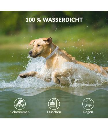 Animal Vita Premium Teck Neck Band for Dogs - Waterproof Size Adjustable 8 Months Tick Protection - Reliable Defense Against Ticks - Buy Online on GoSupps.com