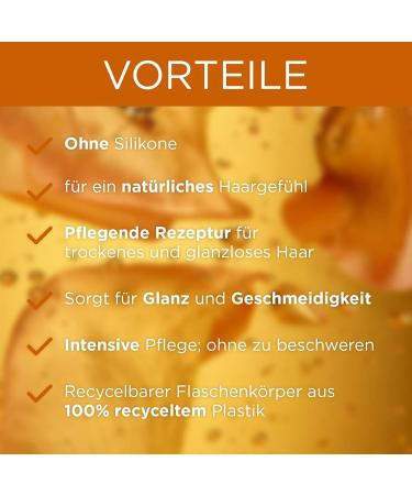 Buy Garnier True Treasures Nourishing Oil Shampoo (Argan & Camellia Oil) - 3 x 250 ml | Intense Shine & Smoothness | International Shipping Available - Buy Online on GoSupps.com