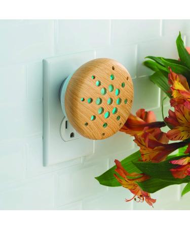 Essential Oil Diffuser with LED Night Light - Airome Bamboo Pluggable, Ceramic Cover, Wall Plug-in, Light Wood Finish - Buy Online on GoSupps.com