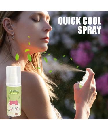 Cool Down Spray - Instant Cooling Spray Reduce Skin Temperature Small Spray | 80ml Waters Peppermint Cooling Spray Mist Lightweight Skin Refreshing Sprayer for Men Women Outdoor Activities - Buy Online on GoSupps.com