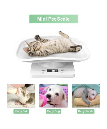 Digital Pet Scale Small Animal Scale with LCD Display Digital Food Scale Multifunction Small Puppy Kitten Scale Max Weighing 10kg/22lb for Kitten/Puppy/Hamster/Hedgehog/Tortoise/Food - Buy Online on GoSupps.com