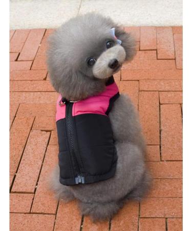 Ectkuee Winter Warm Waterproof Dog Coat Jacket | Small Quilted Padded Pet Clothes for Winter - M Rose - Buy Online on GoSupps.com
