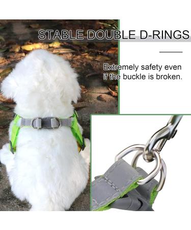 Rennaio No Pull Dog Harness & Leash Set for Small & Medium Dogs Adjustable Comfortable Green M - Buy Online on GoSupps.com