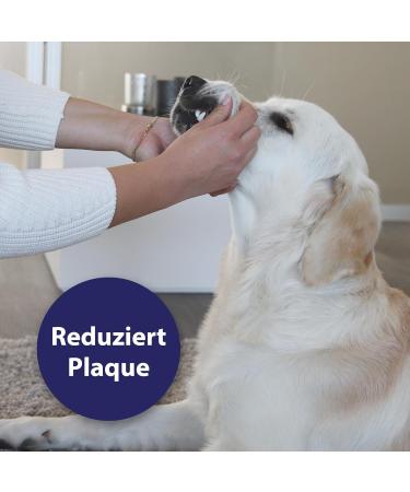 Canosept Dental Care Finger Pads for Dogs - 50 Piece Tartar Remover & Toothbrush - Freshens Bad Breath & Cleans Teeth - Buy Online on GoSupps.com