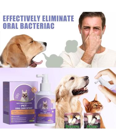 2PCS Pet Clean Teeth Cleaning Spray Pet Teeth Cleaning Spray Teeth Cleaning Spray for Dogs Pet Oral Spray Clean Teeth Pet Breath Freshener Oral Spray Pet Oral Spray Pet Oral Spray Clean Spray Petry Teeth Cleaning Spray Petry Oral Spray for Dogs & Cats - Buy Online on GoSupps.com