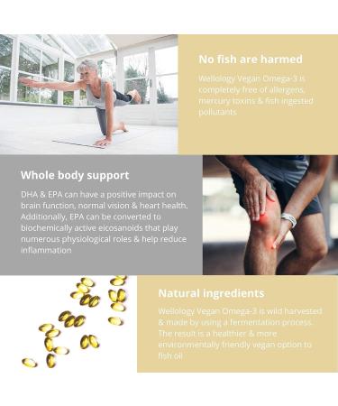 Vegan Omega 3-1200mg Fermented Algae Oil - High Strength EPA DHA - 60 Softgels by Wellology - Buy Online on GoSupps.com