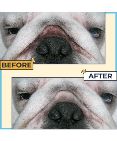 Bulldog Wrinkle+Wipes: Rash Treatment for French Bulldog, Pug, English Bulldog - Cleans Tail Pockets, Paw Balm, Tear Stain Remover - Skin Soother Pack of 2 - Buy Online on GoSupps.com