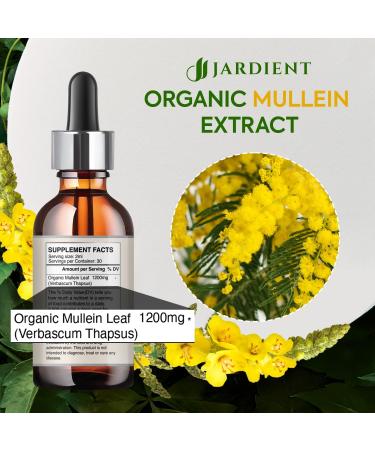 Organic Mullein Drops for Lungs Natural Lungs Detox & Immune Support | Mullein Leaf Extract 2fl.oz - Buy Online on GoSupps.com