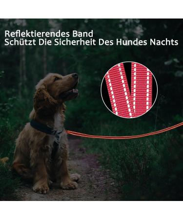 Demigreat Reflective Dog Leash - 3m/5m/10m/15m/20m | Padded Handle Hand Loop | Training Line for Small to Large Dogs - 5m/16ft Red - Buy Online on GoSupps.com