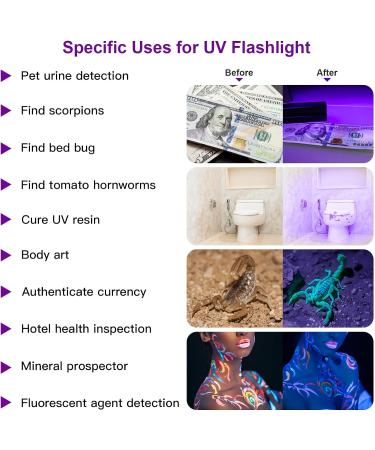 Cosoos UV Black Light Flashlight - 2 PCs Mini Pet Urine Detector with 12 LEDs - Find Urine Stains from Dogs Bed Bugs & Scorpions - No Batteries Included - Buy Online on GoSupps.com